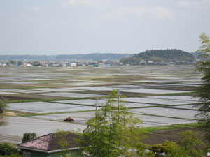 田植前